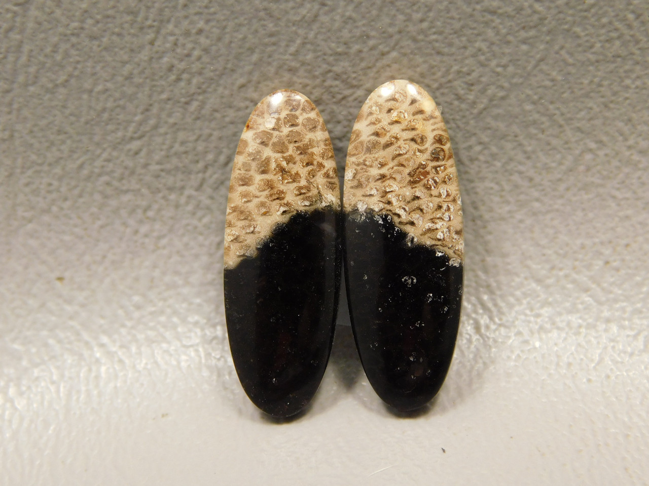 Petrified Palm Wood Matched Pair Cabochons #4
