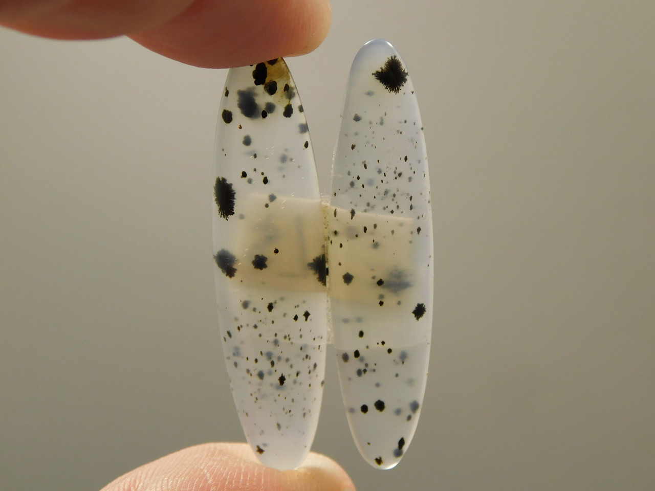 Montana Agate Matched Pair Cabochons #1