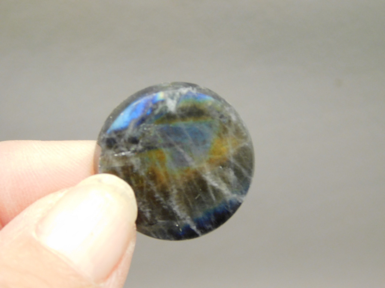 Spectrolite Cabochon #14