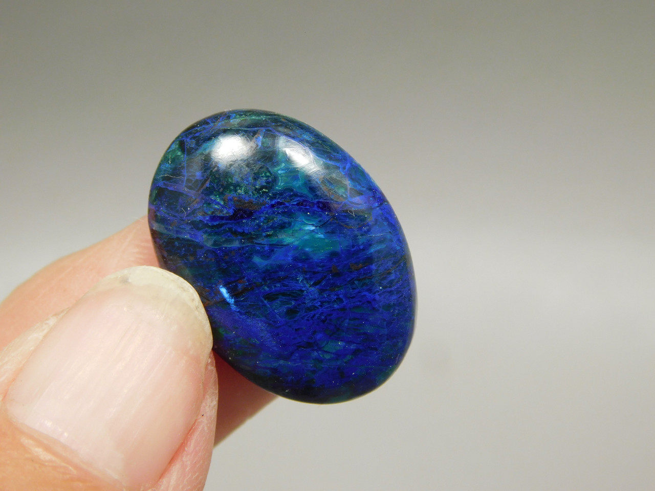 Azurite Malachite Bluebird Cabochon #10