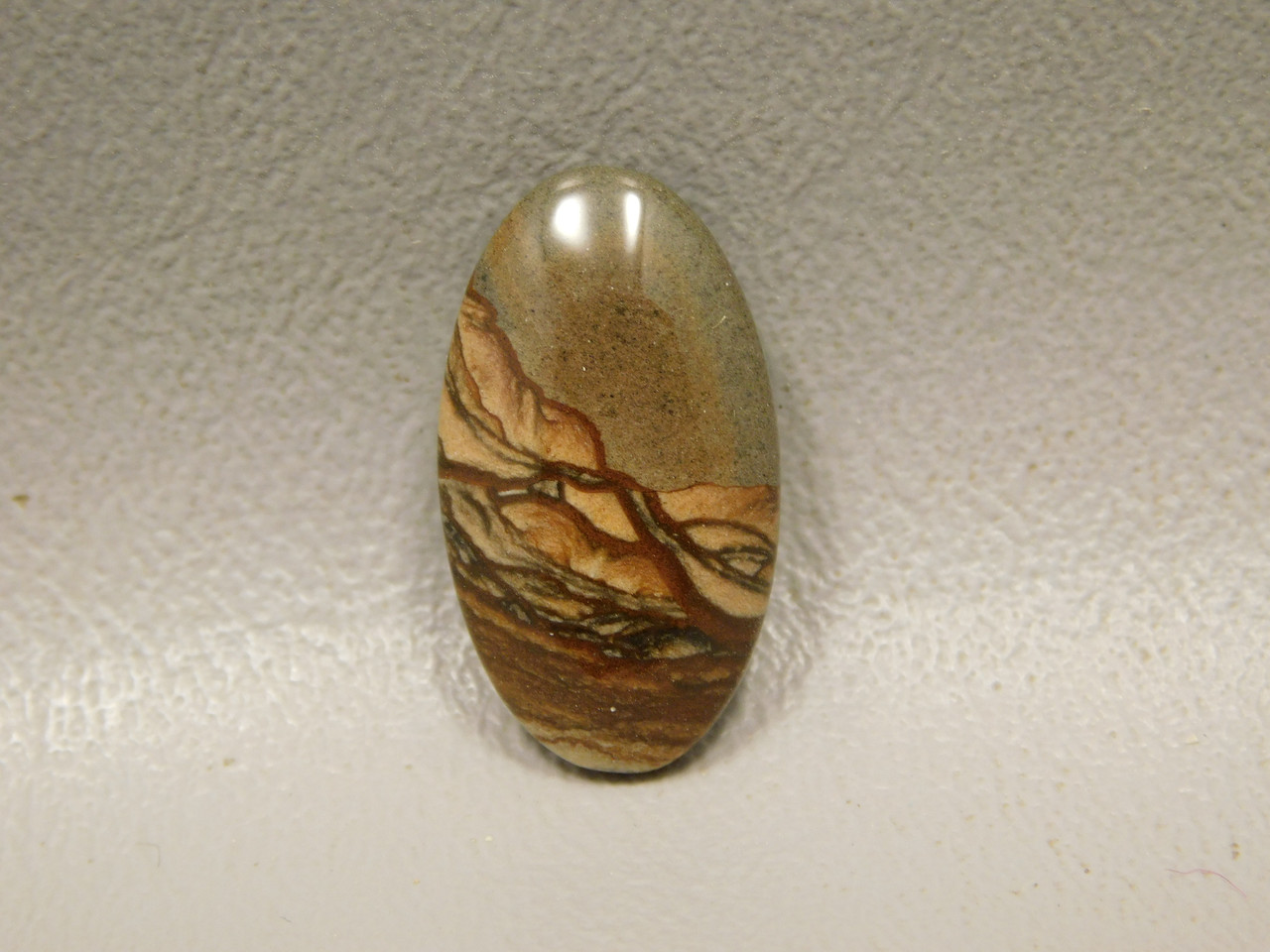 Copy of Deschutes Jasper Cabochon #11