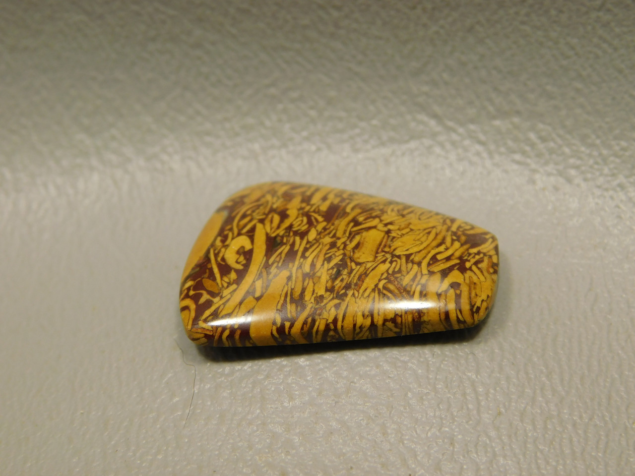 Coquina Jasper Cabochon #2