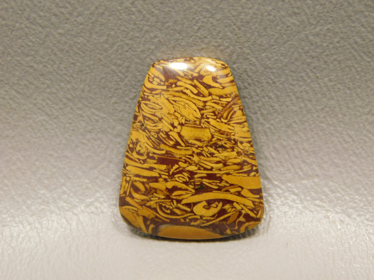 Coquina Jasper Cabochon #2