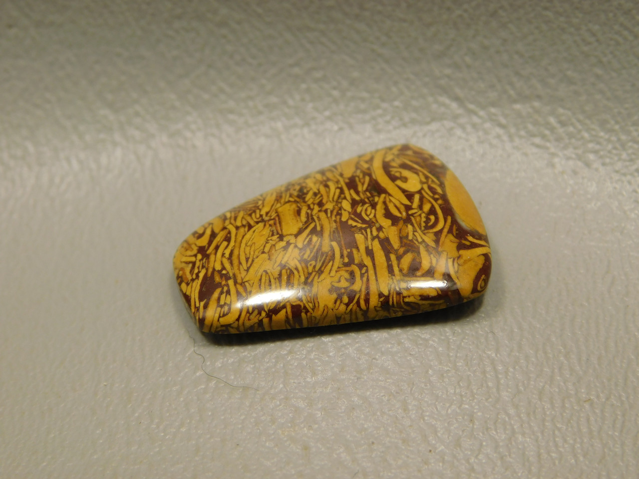 Coquina Jasper Cabochon #2