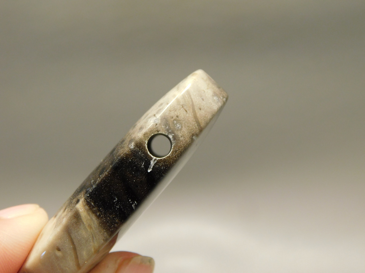 Petrified Palm Wood Stone Bead Pendant #1