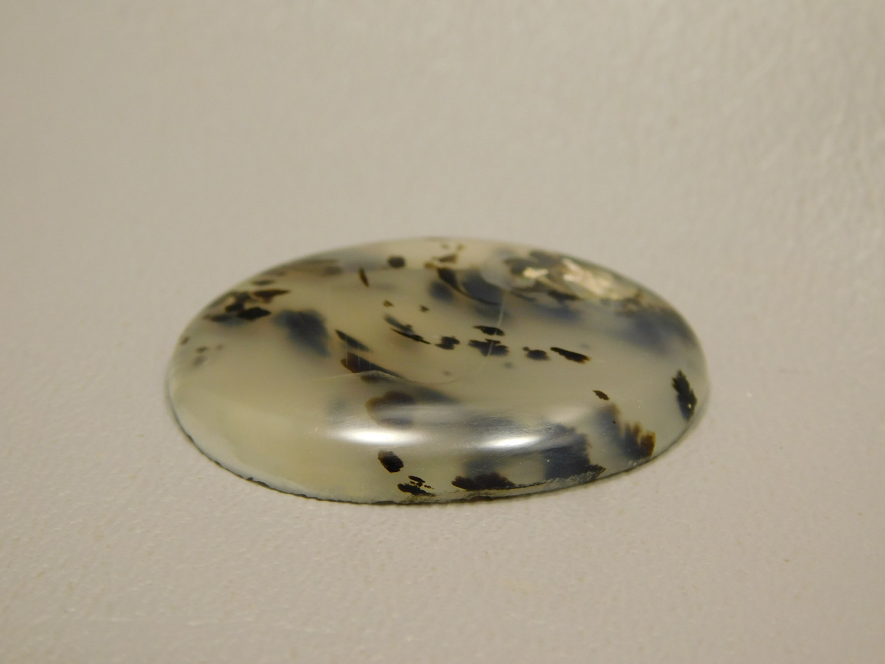 Montana Agate Cabochon #15