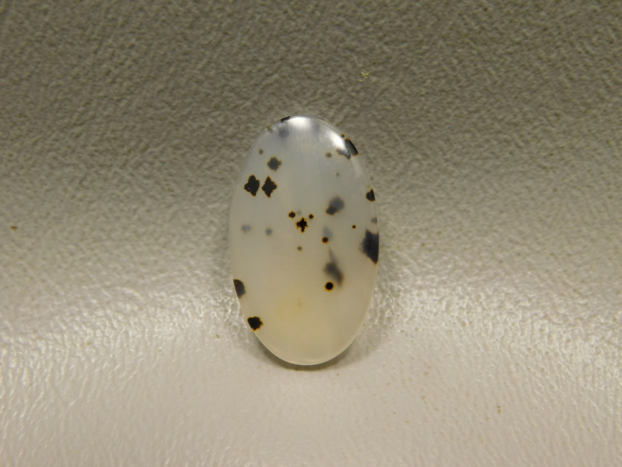 Montana Agate Cabochon #2