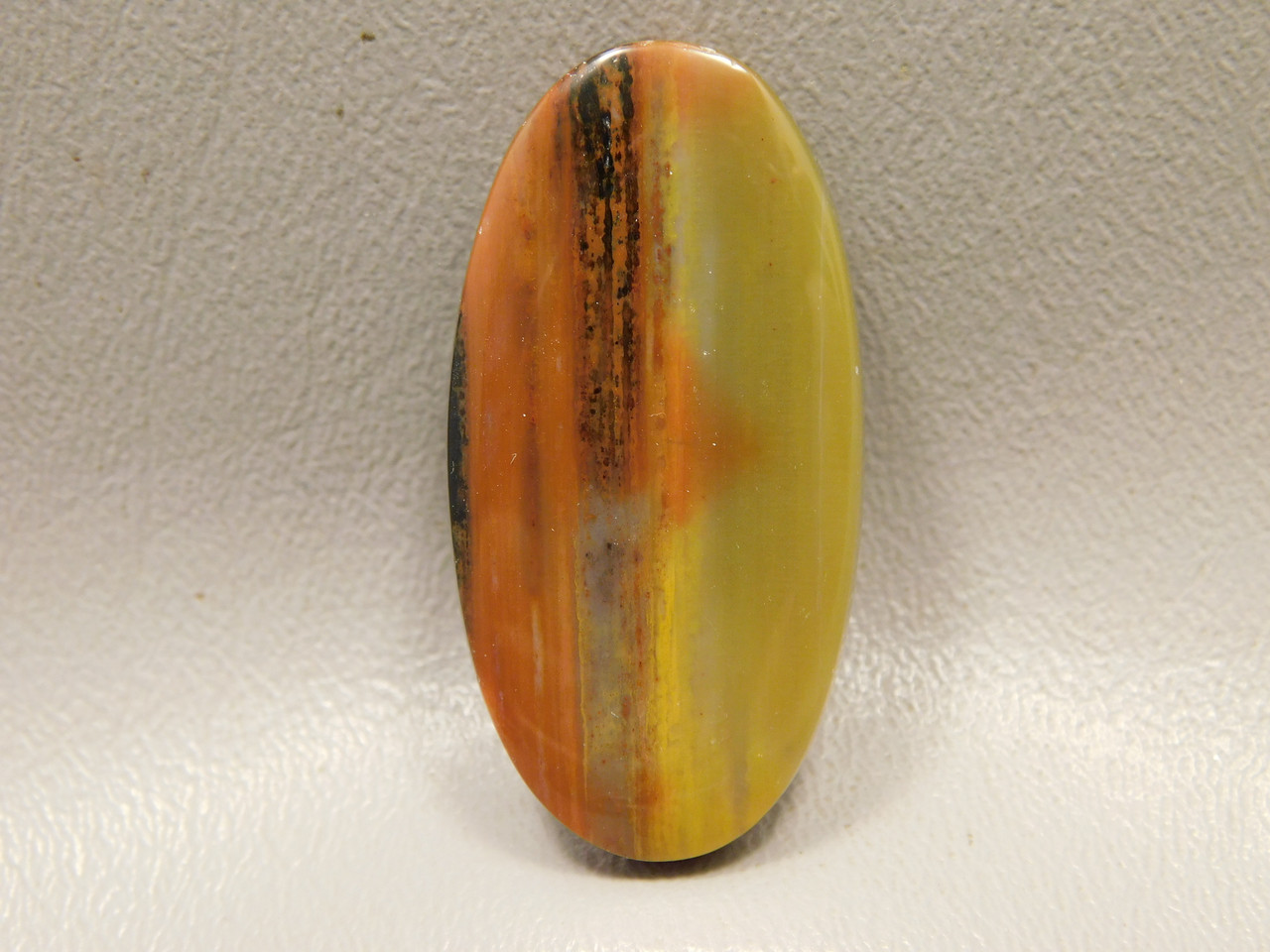 Petrified Rainbow Wood Cabochon Arizona #9