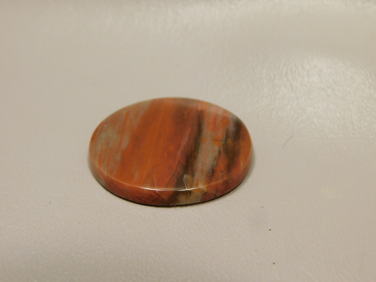 Petrified Rainbow Wood Cabochon Arizona #7