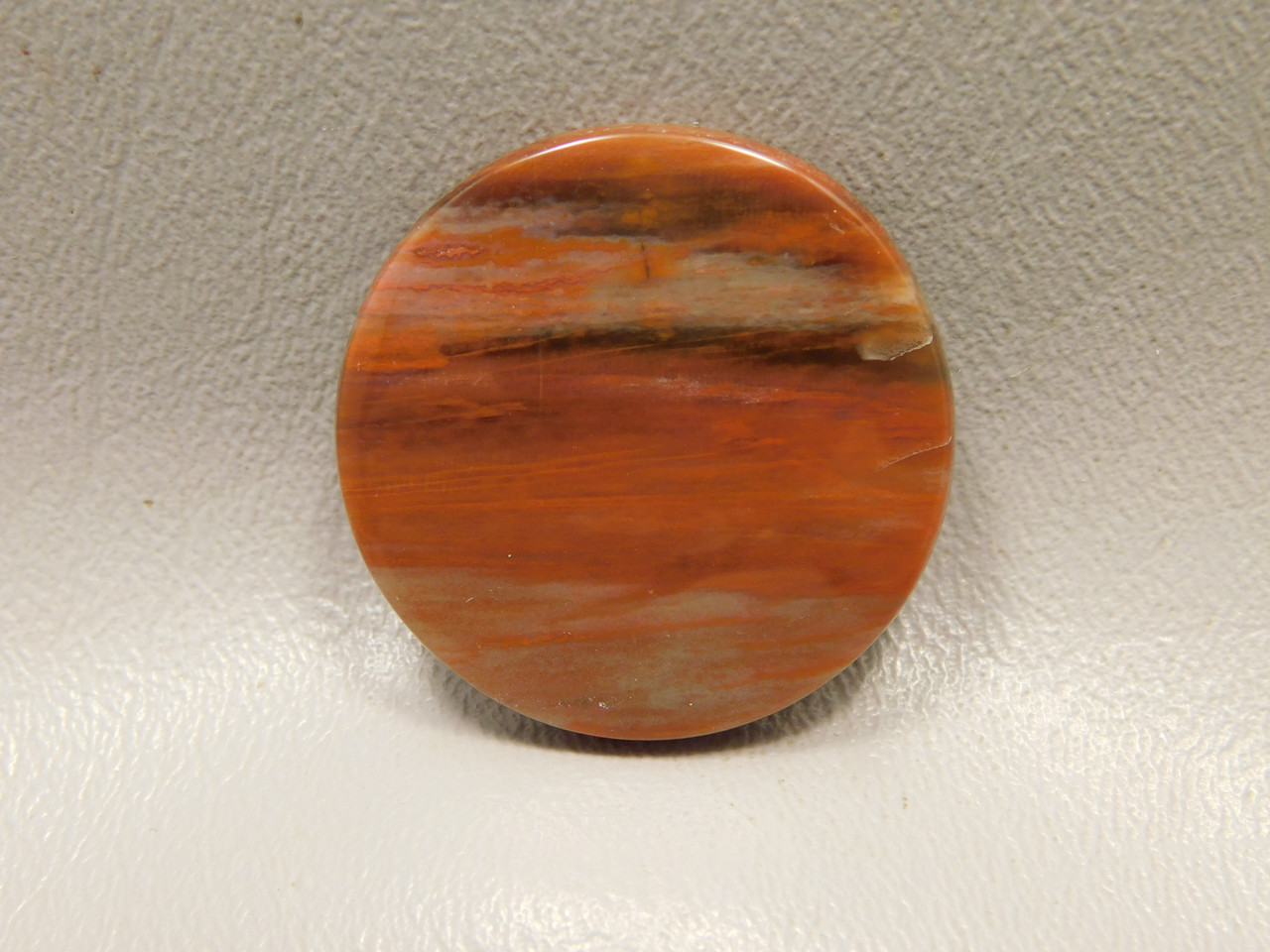 Petrified Rainbow Wood Cabochon Arizona #7