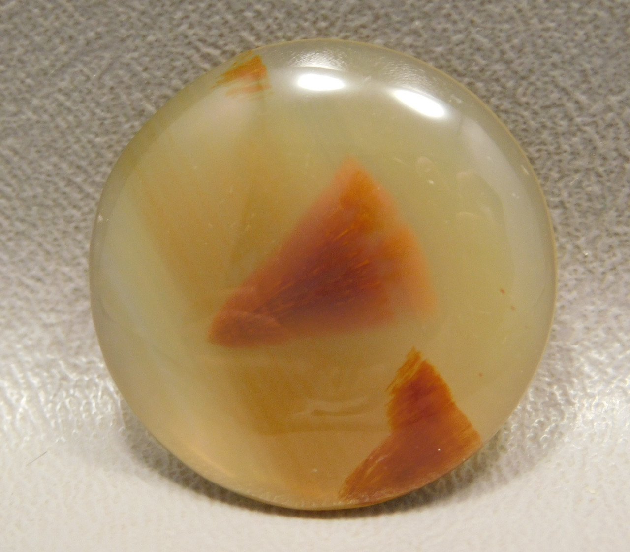 Brazilian Piranha Agate Cabochon 27 mm Round Gemstone #13