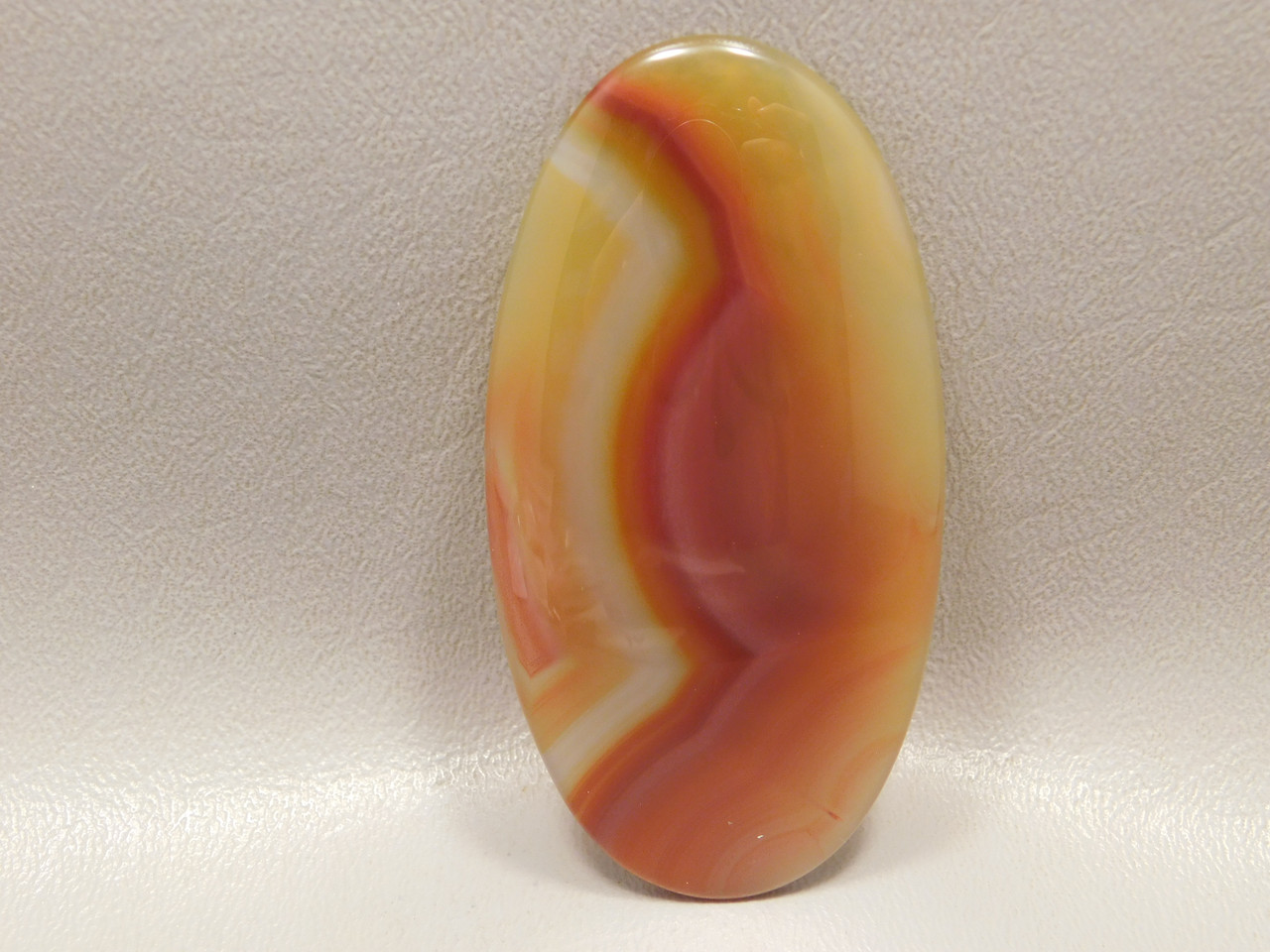 Brazilian Piranha Agate Large Collector Cabochon #XL20