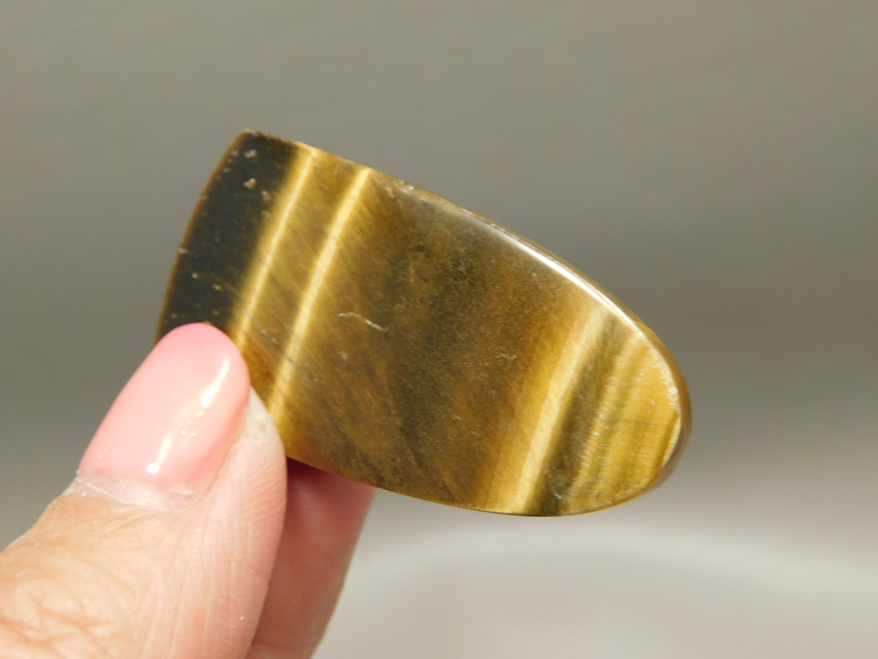 Tiger's Eye Cabochon #2