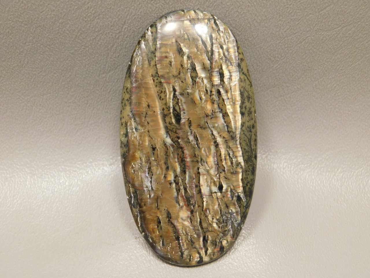 Arizona Pietersite Large Collector Cabochon #XL1