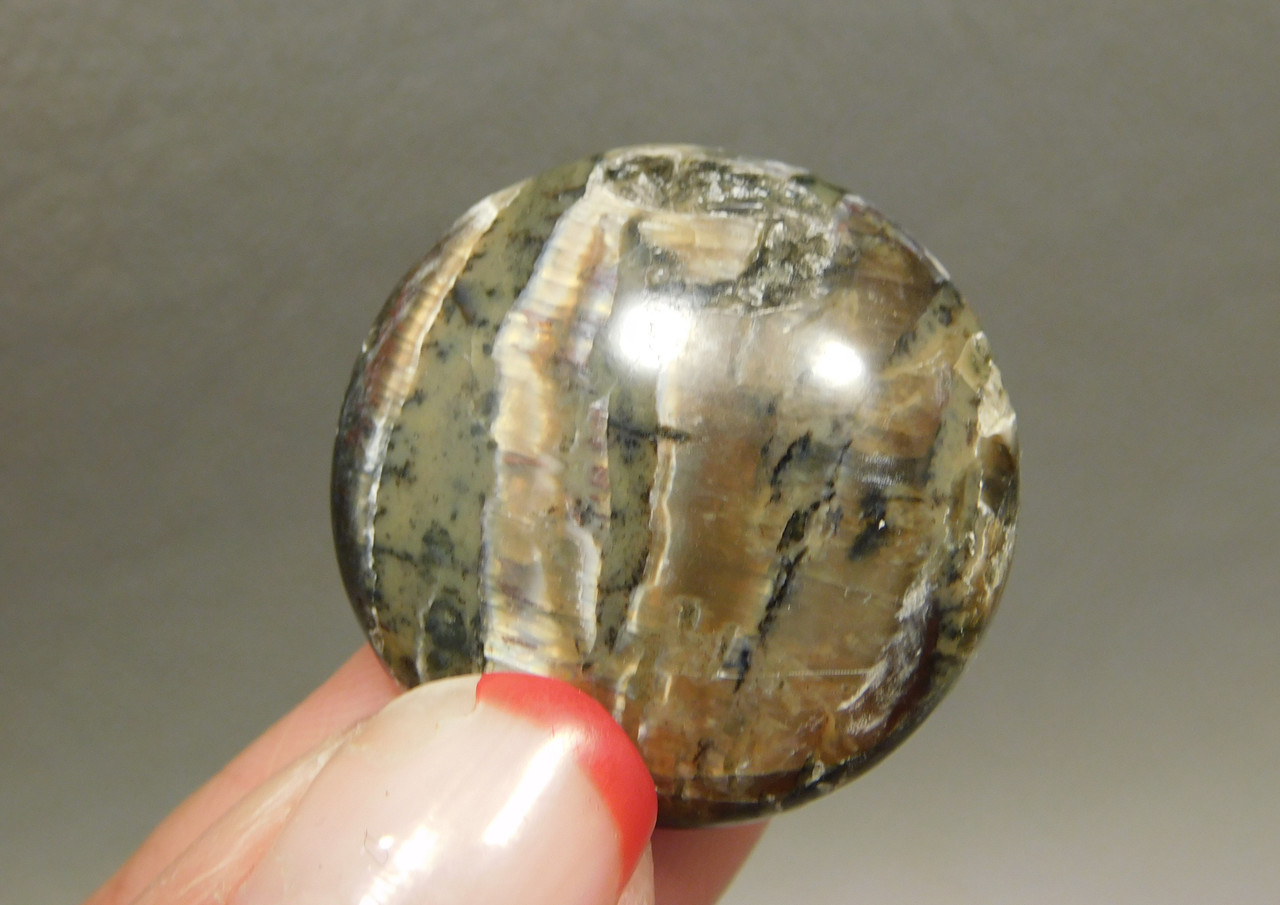 Arizona Pietersite Tigereye Designer Gemstone Cabochon #17