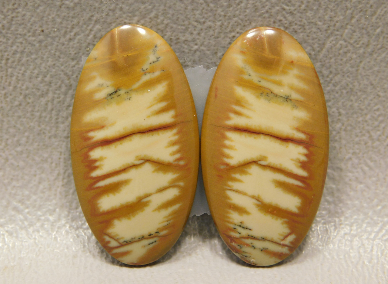 Owyhee Jasper Matched Pair Cabochons for Earrings #10