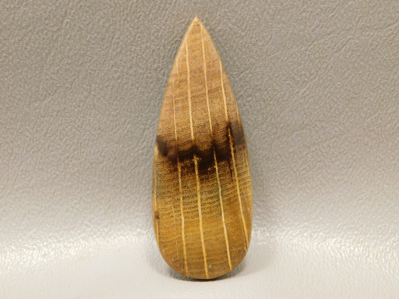 Petrified Golden Oak Wood Cabochon Semi Precious Stone #5