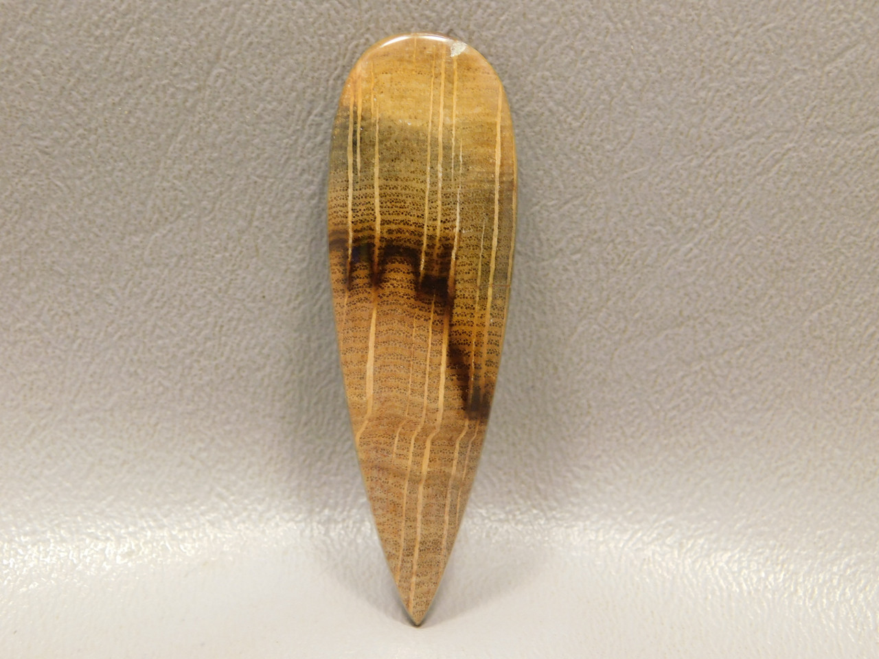 Petrified Golden Oak Wood Cabochon Teardrop Jewelry  Stone #8