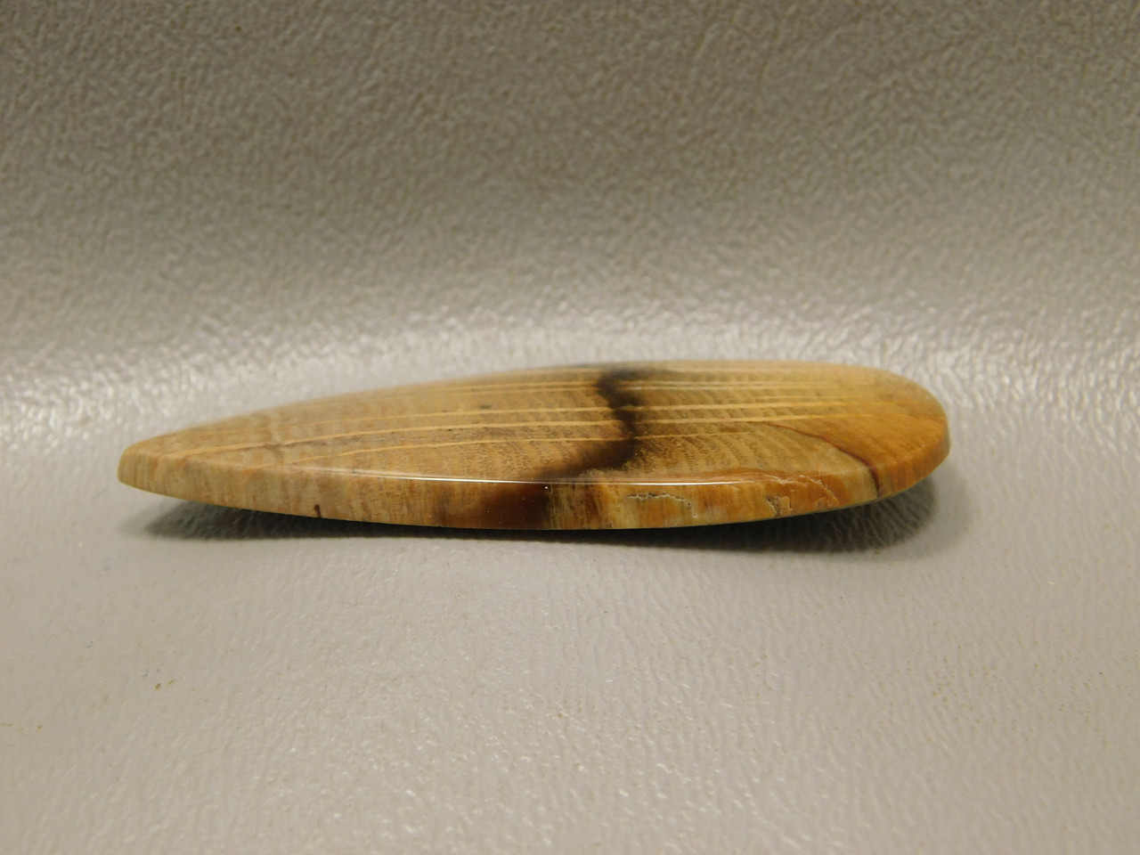 Petrified Golden Oak Wood Cabochon Teardrop Semi Precious Stone #9