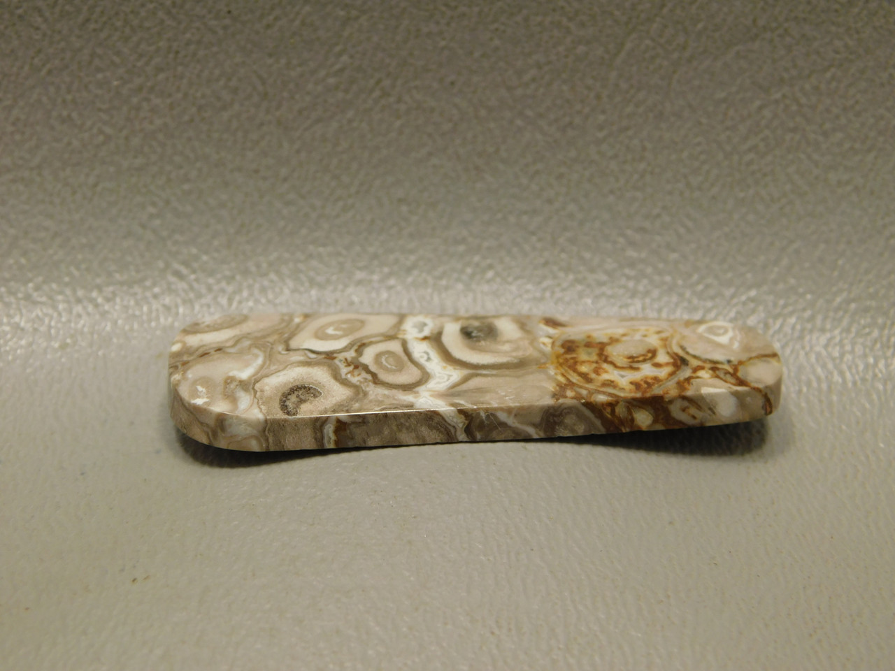 Petrified Palm Wood Freeform Cabochon Jewelry Stone Indonesia #1