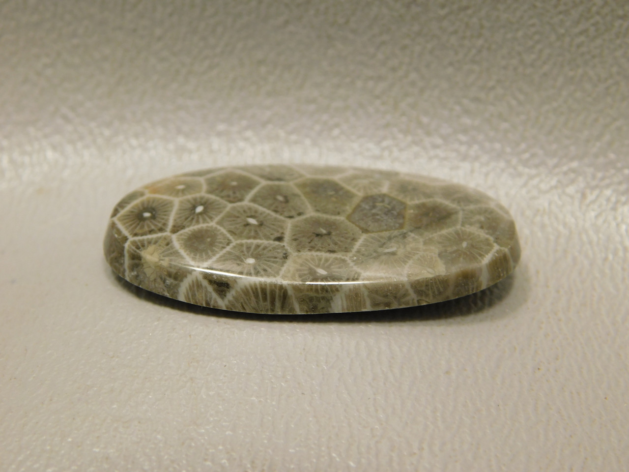 Jewelry Stone Cabochon Fossil Coral Semiprecious Gemstone #F6