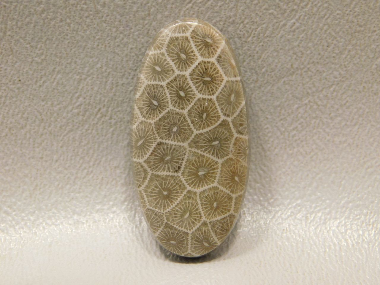 Cabochon Pseudomorph Fossil Coral Jasper #F13