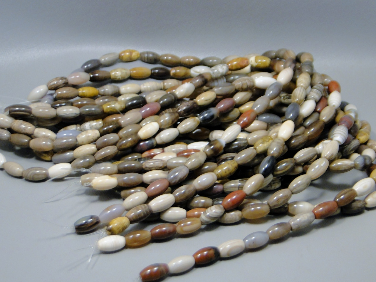 Petrified Wood Beads Unstrung Gemstone Strand (PWb)