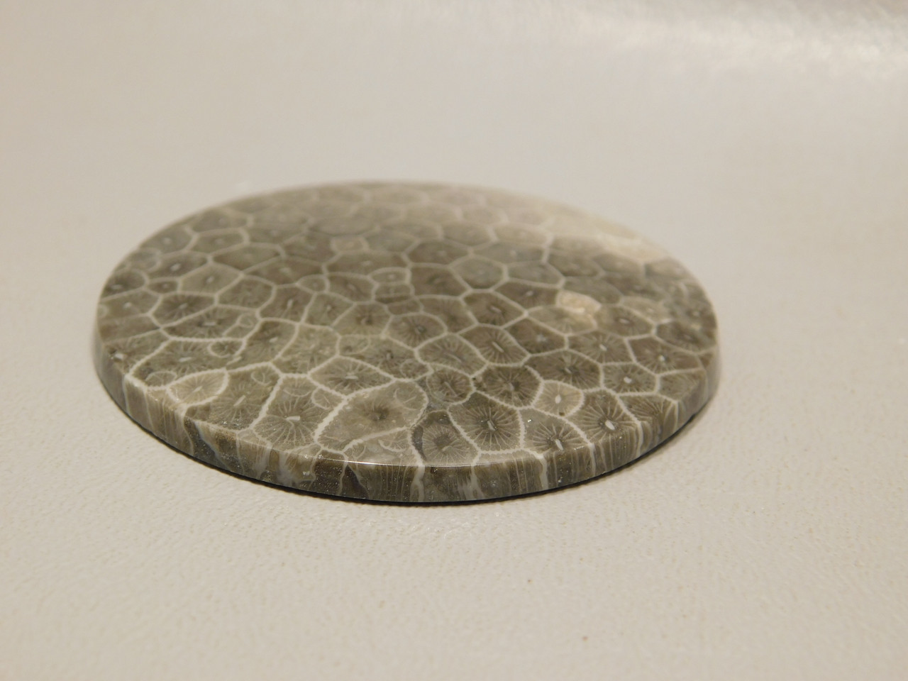 Flower Jasper 55 mm Round Semiprecious Stone Cabochon #F18