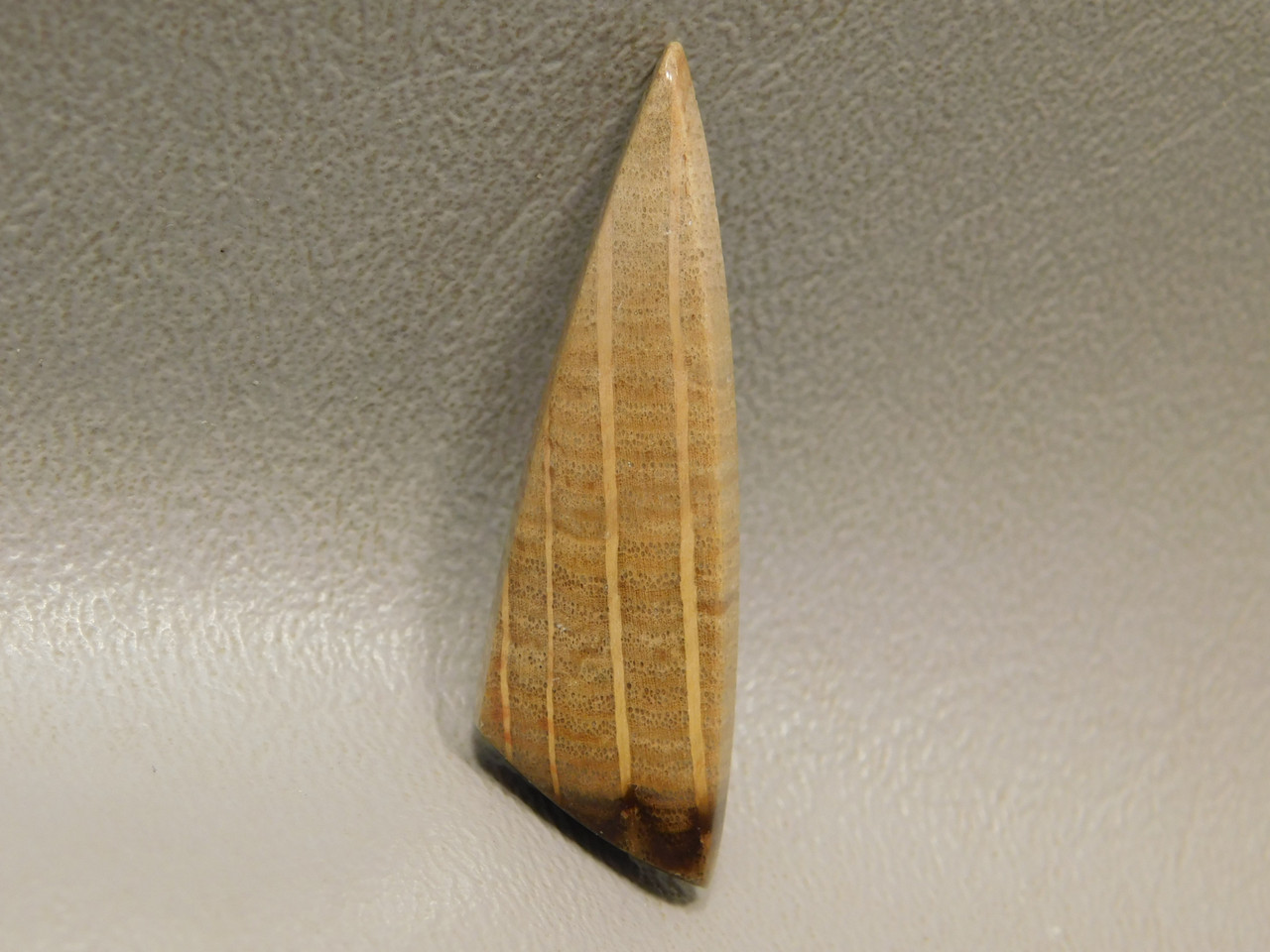 Petrified Golden Oak Wood Designer Cabochon Semi Precious Stone #3