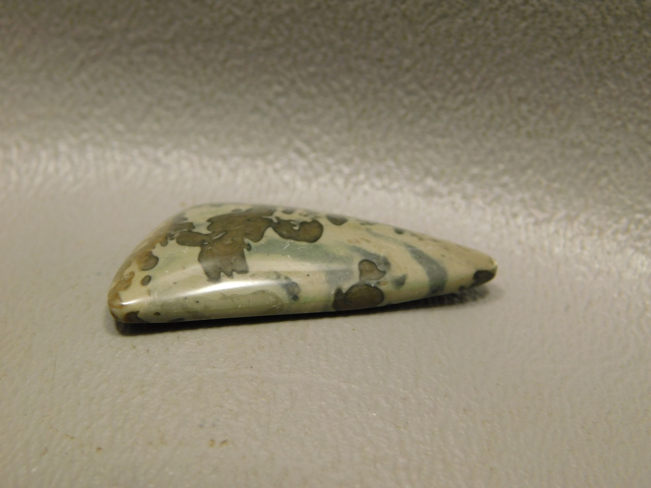 Cotham Marble Cabochon Fossil Stromatolite #24