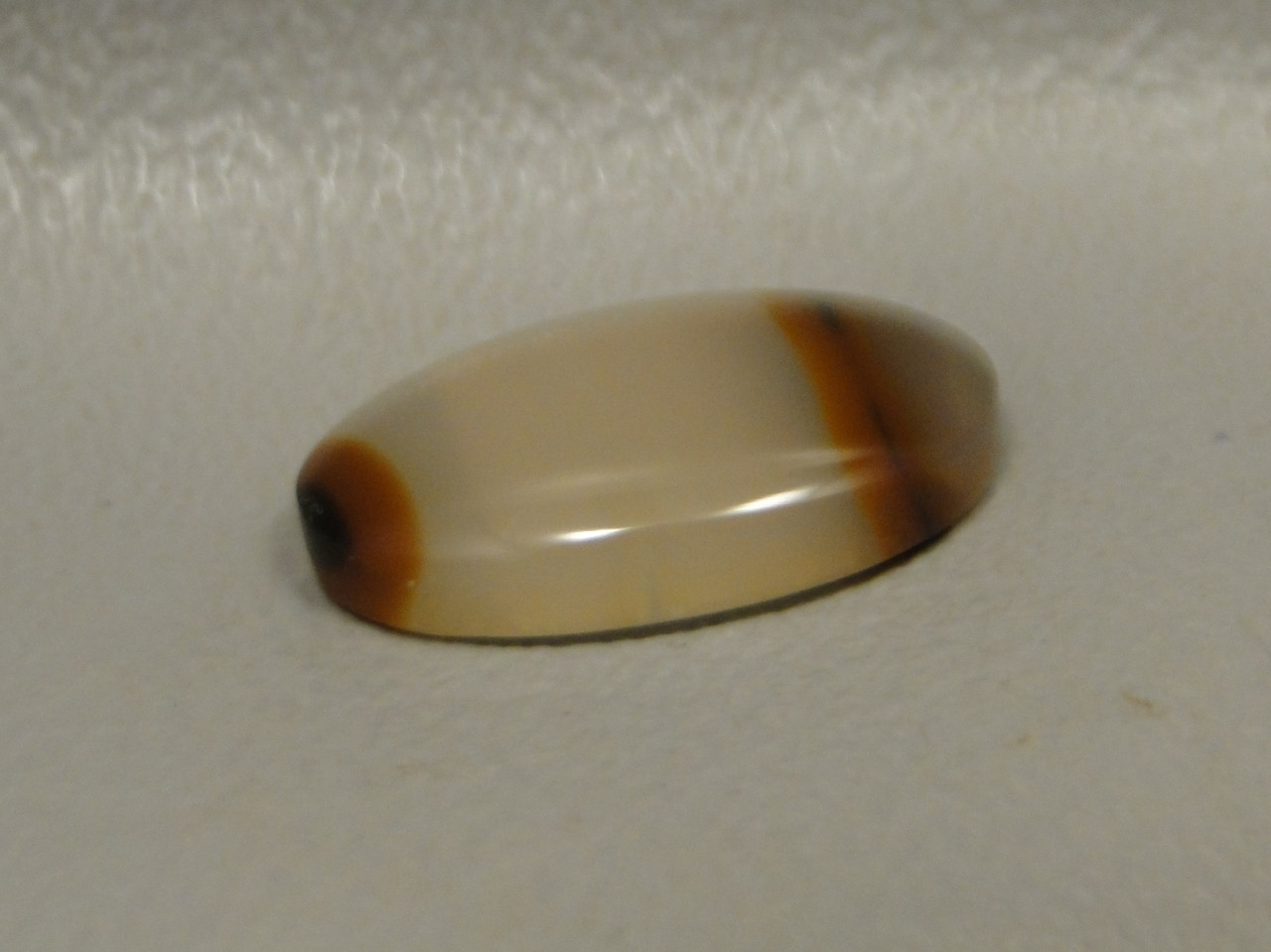 Agate Cabochon Brazilian Piranha Designer Gemstone Small Oval #6