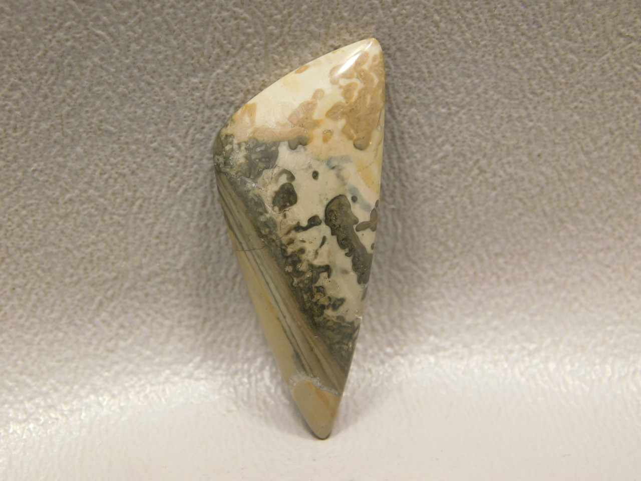 Cotham Marble Fossil Stromatolite Triangle Stone Cabochon #15