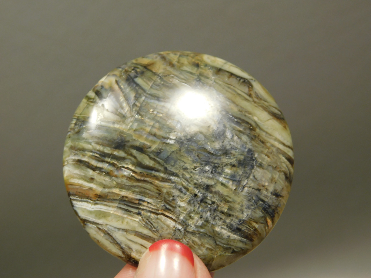 Arizona Tigereye Chatoyant Gemstone Cabochon 41.5 mm Round #6