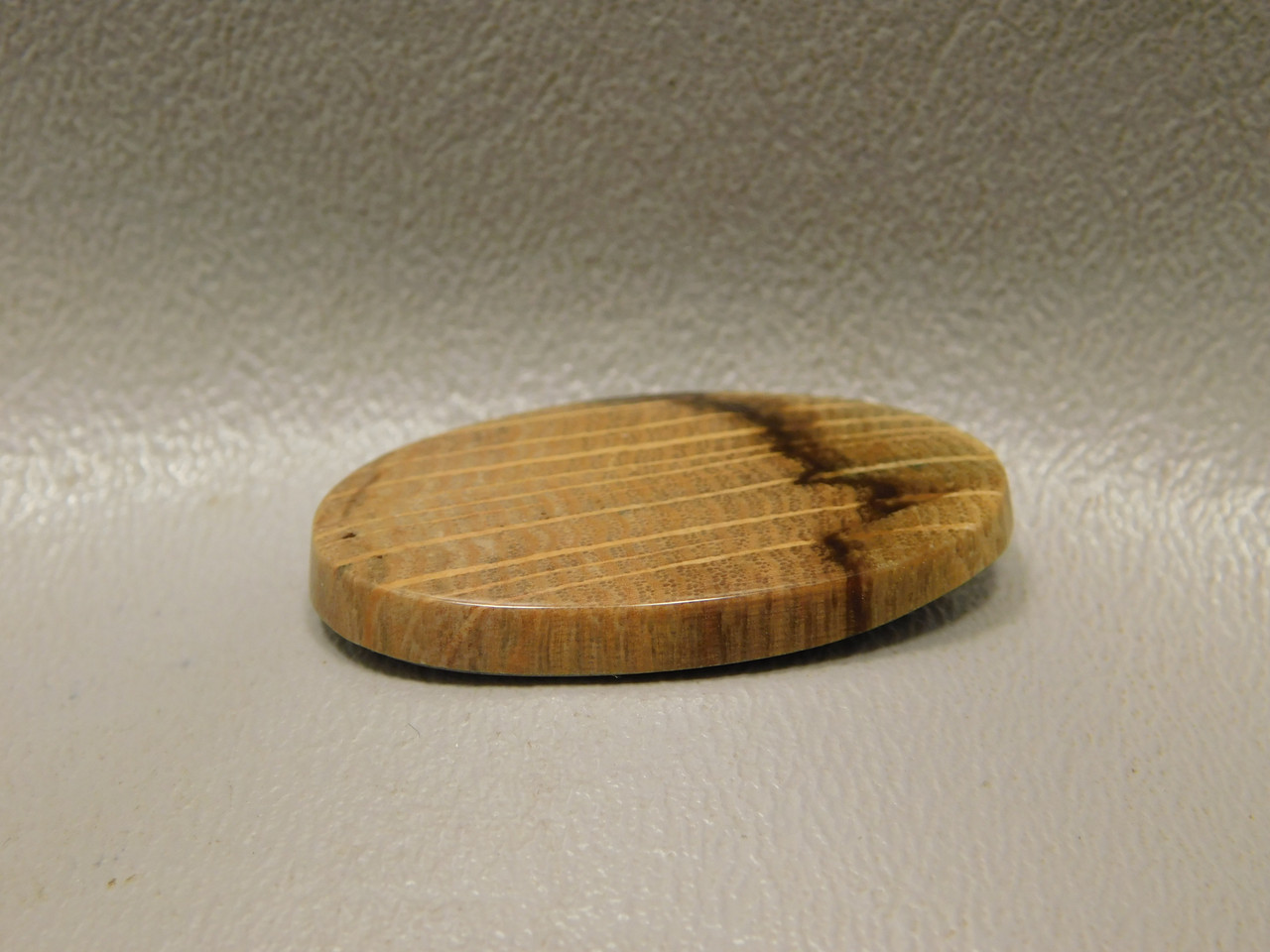 Petrified Wood Cabochon Oval Stone Jewelry Making Supplies #22