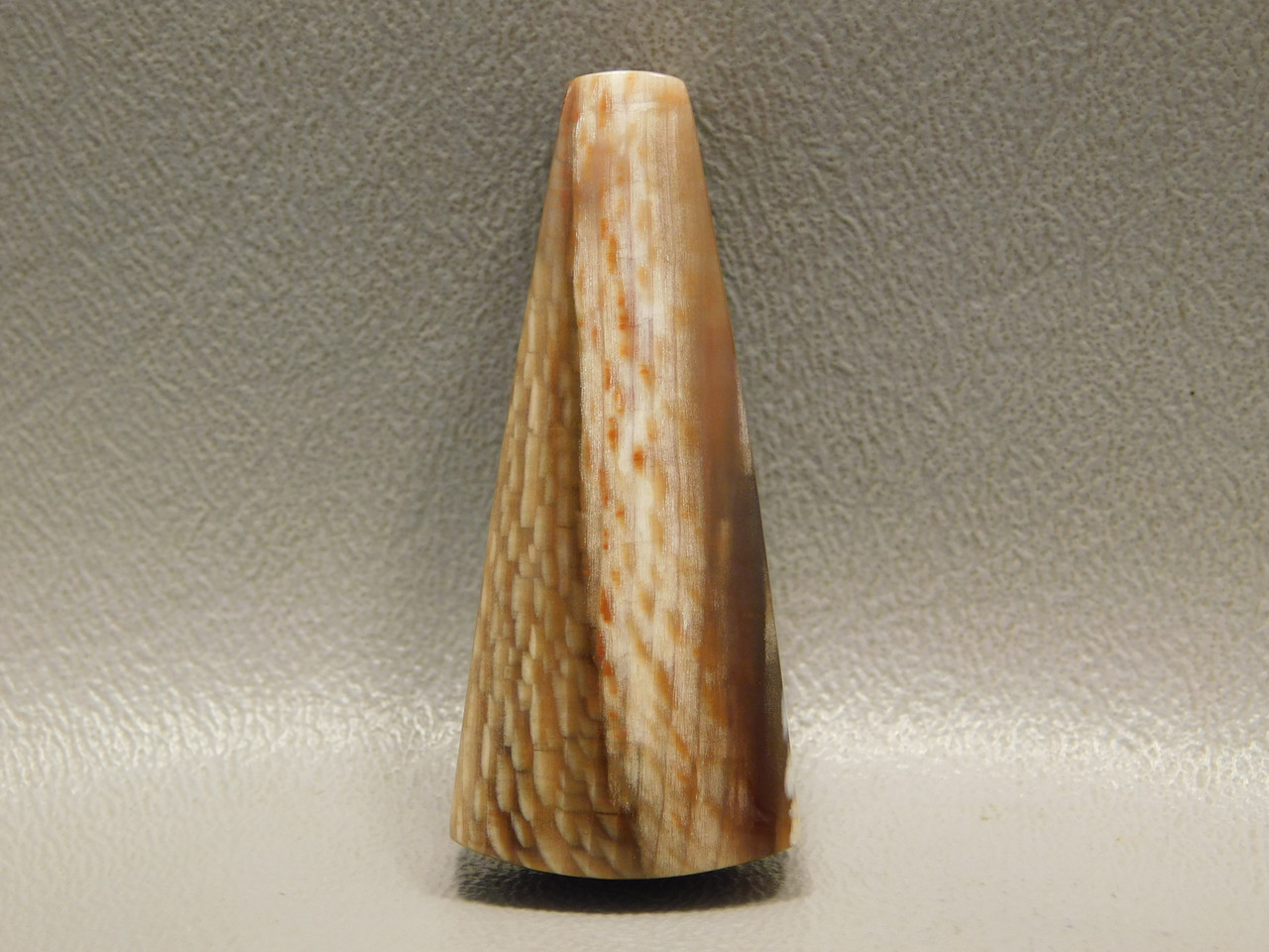 Petrified Sycamore Wood Stone Bead Pendant #1