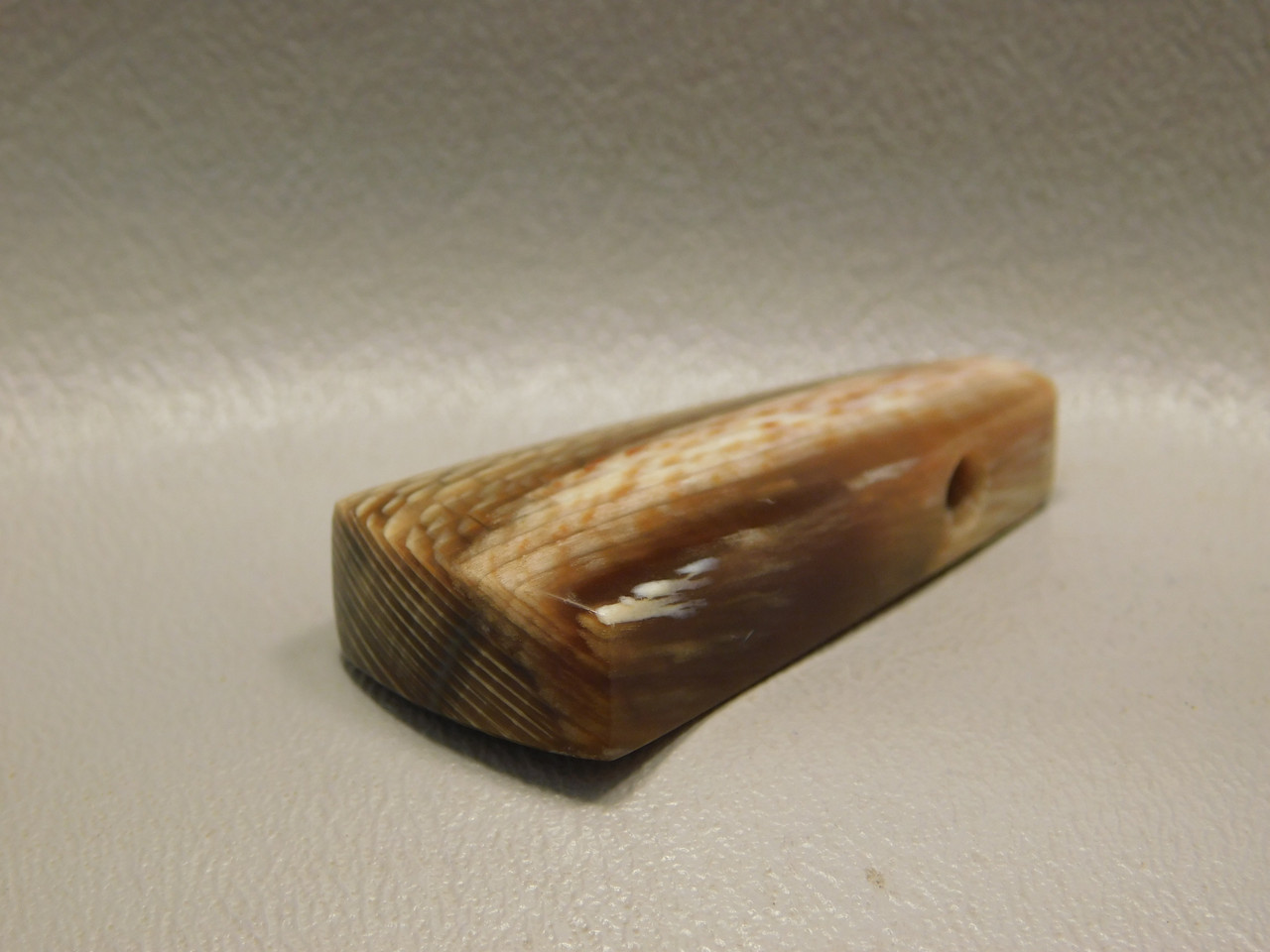 Petrified Sycamore Wood Stone Bead Pendant #1