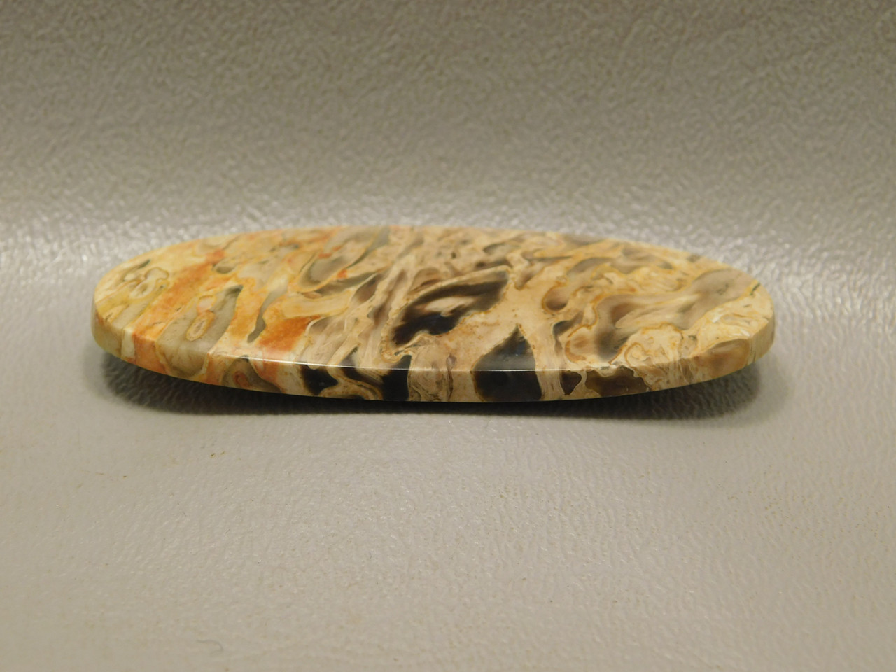 Fossilized Petrified Palm Wood Loose Stone Cabochon Indonesia #6