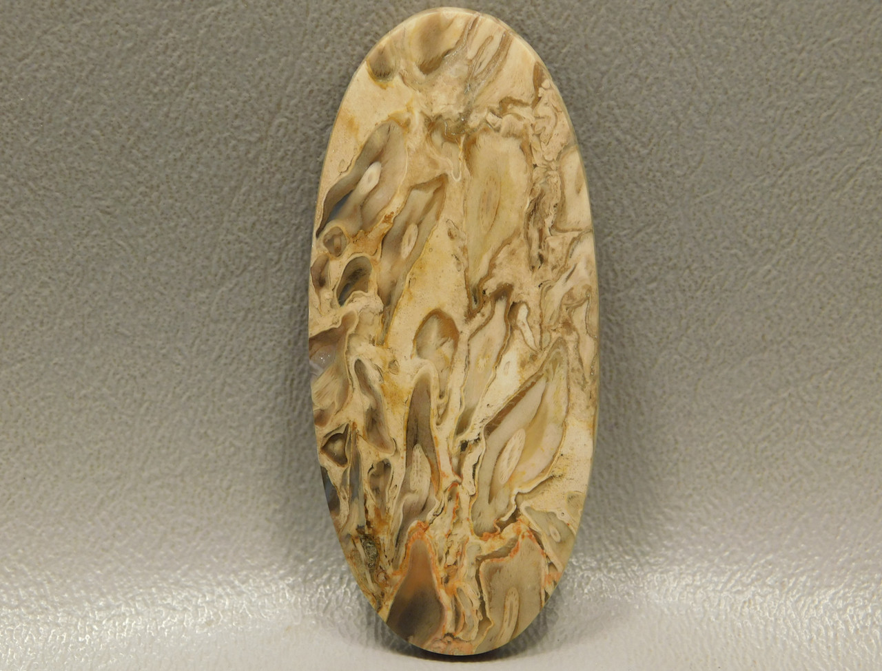 Fossilized Petrified Palm Wood Loose Jewelry Stone Cabochon #18