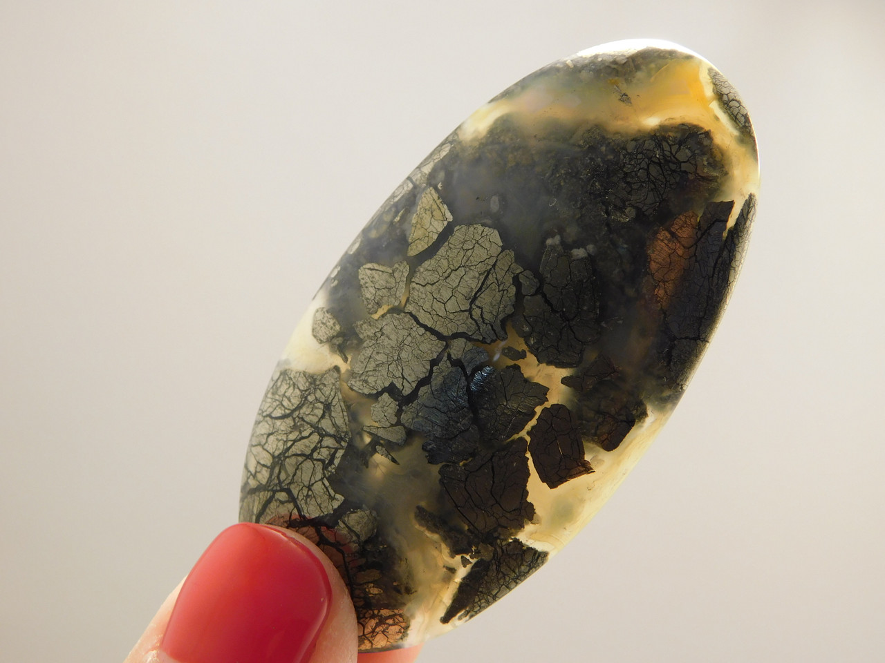 Marcasite and Pyrite  Nipomo Plume Agate Cabochon Oval Stone #20
