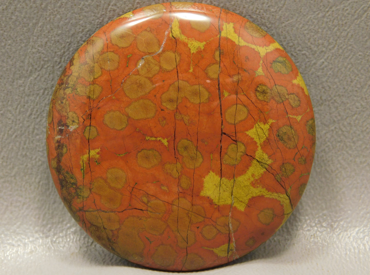 49 mm Round California Morgan Hill Poppy Jasper Cabochon #23