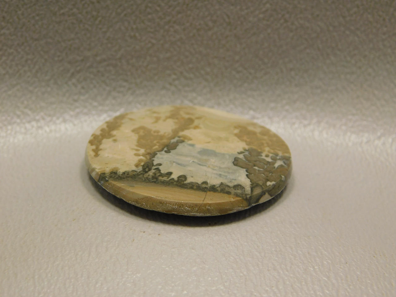 Cotham Marble Fossil Stone Cabochon 33 mm Round Gemstone #5