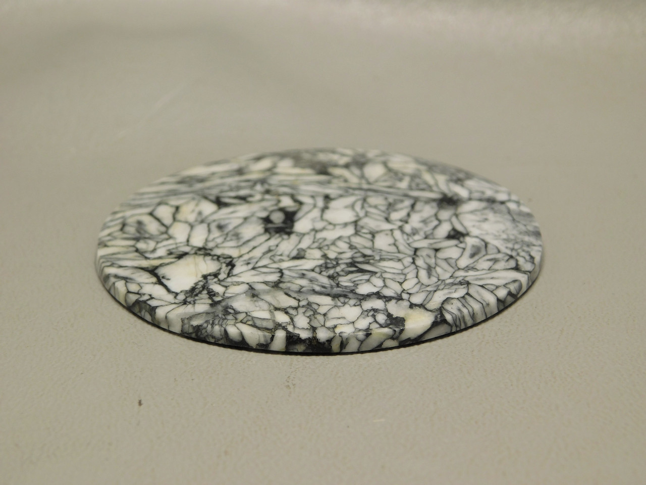 Pinolith or Pinolite Collector Gemstone Large Round Cabochon #xl1