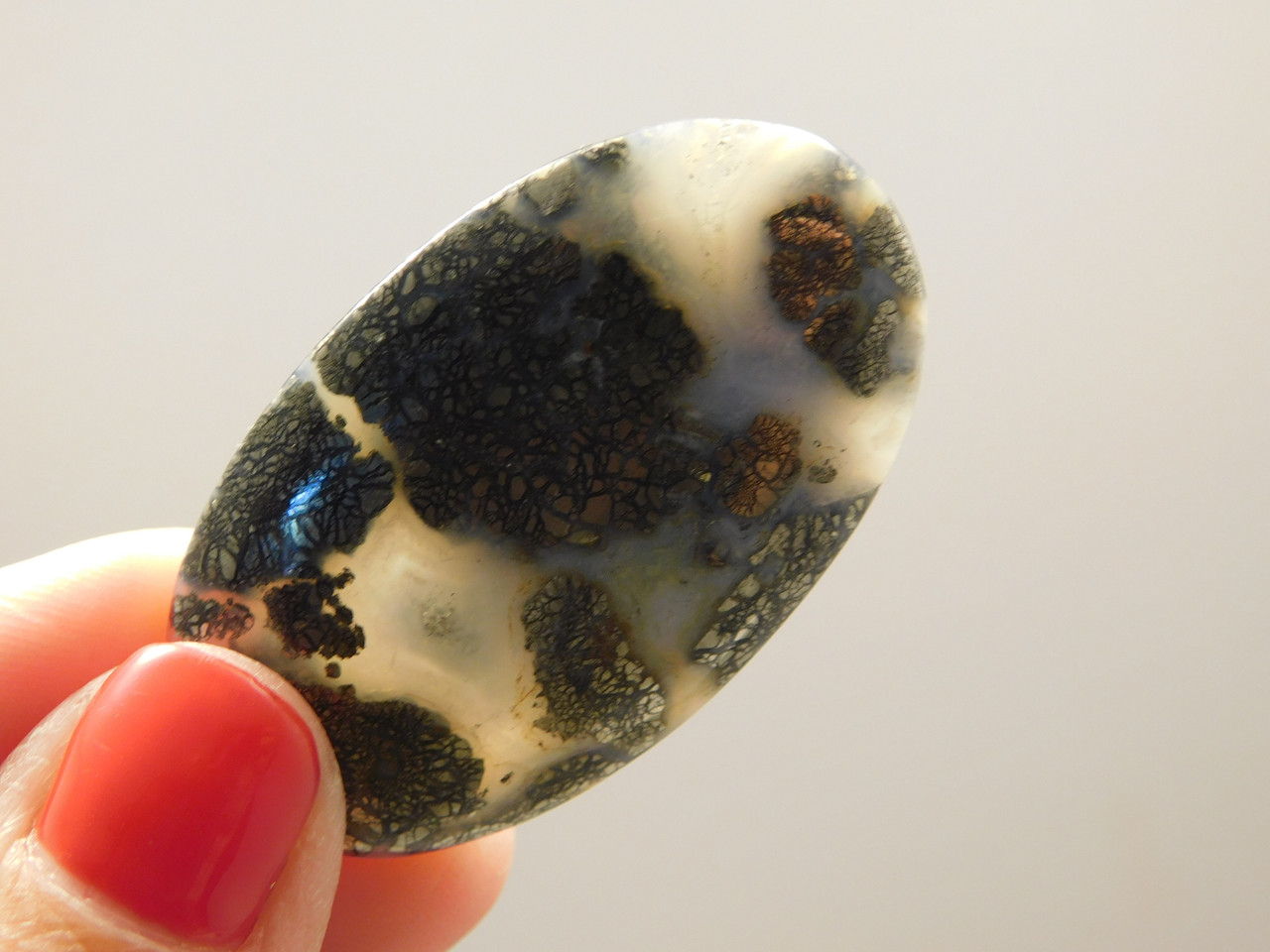 Nipomo Plume Agate Gold Marcasite Pyrite Inclusions Cabochon Stone #7