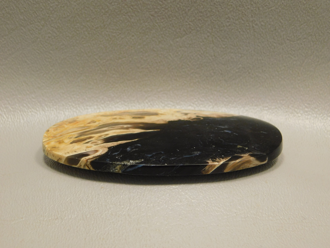 Petrified Palm Wood Large Oval Stone Cabochon Collector #xl1