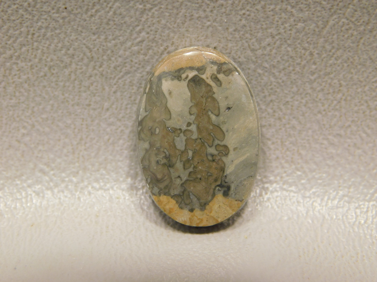 Cotham Marble Small Ring Stone Cabochon Fossil Stromatolite #1
