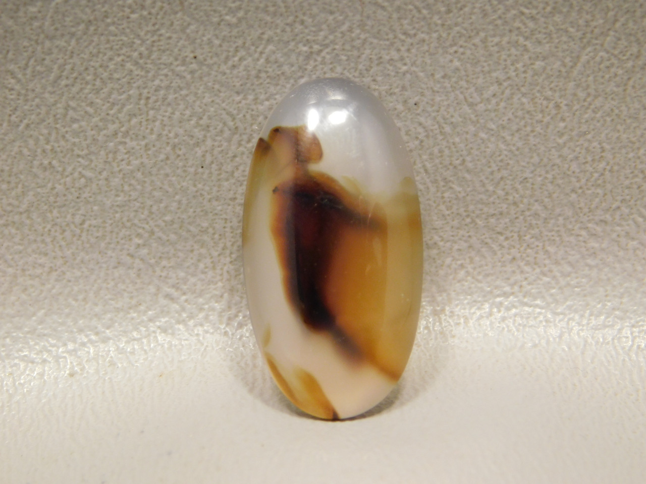 Brazilian Agate Cabochon Jewelry Making Supplies #10