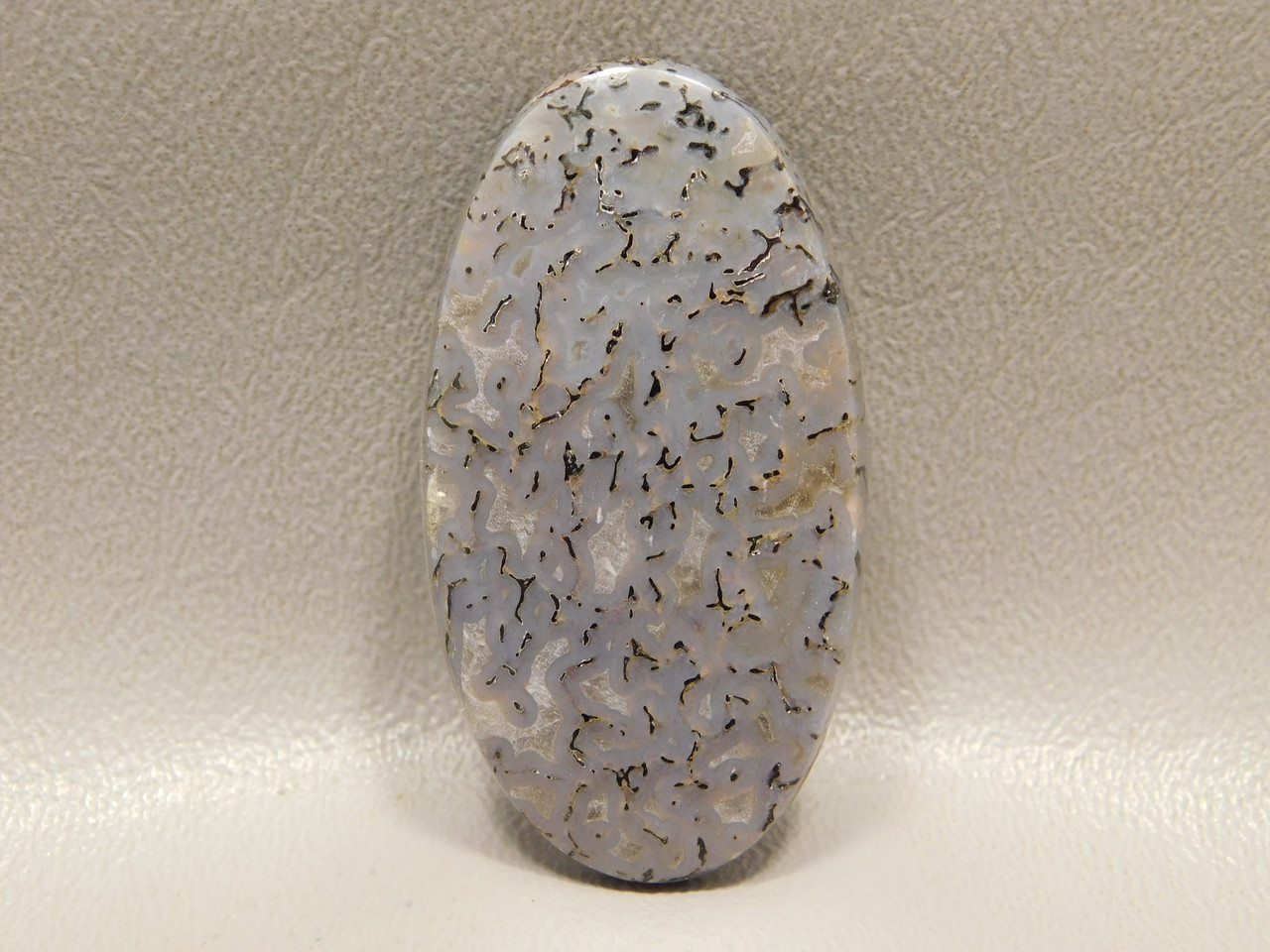 Natural Fossilized Dinosaur Bone Cabochon Jewelry Stone #11