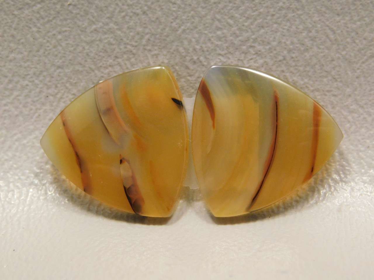 Brazilian Translucent Piranha Agate Stone Cabochons Pairs #1