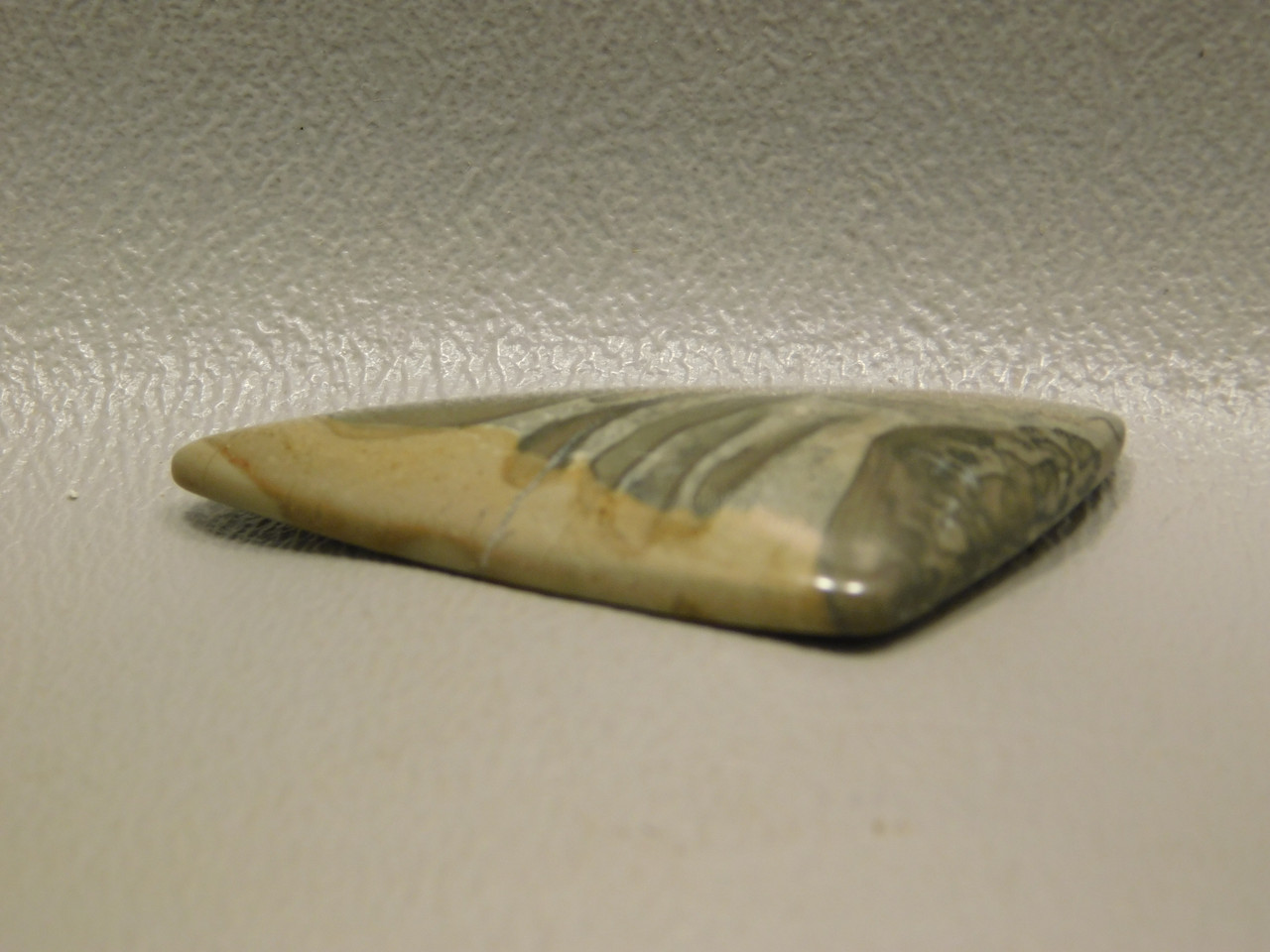 Cotham Marble Cabochon Fossil Stromatolite Triangle Stone #17
