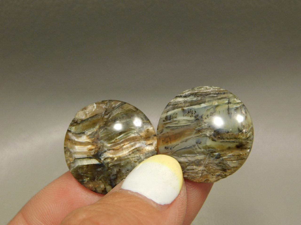 Arizona Pietersite Matched Pair Cabochons #3